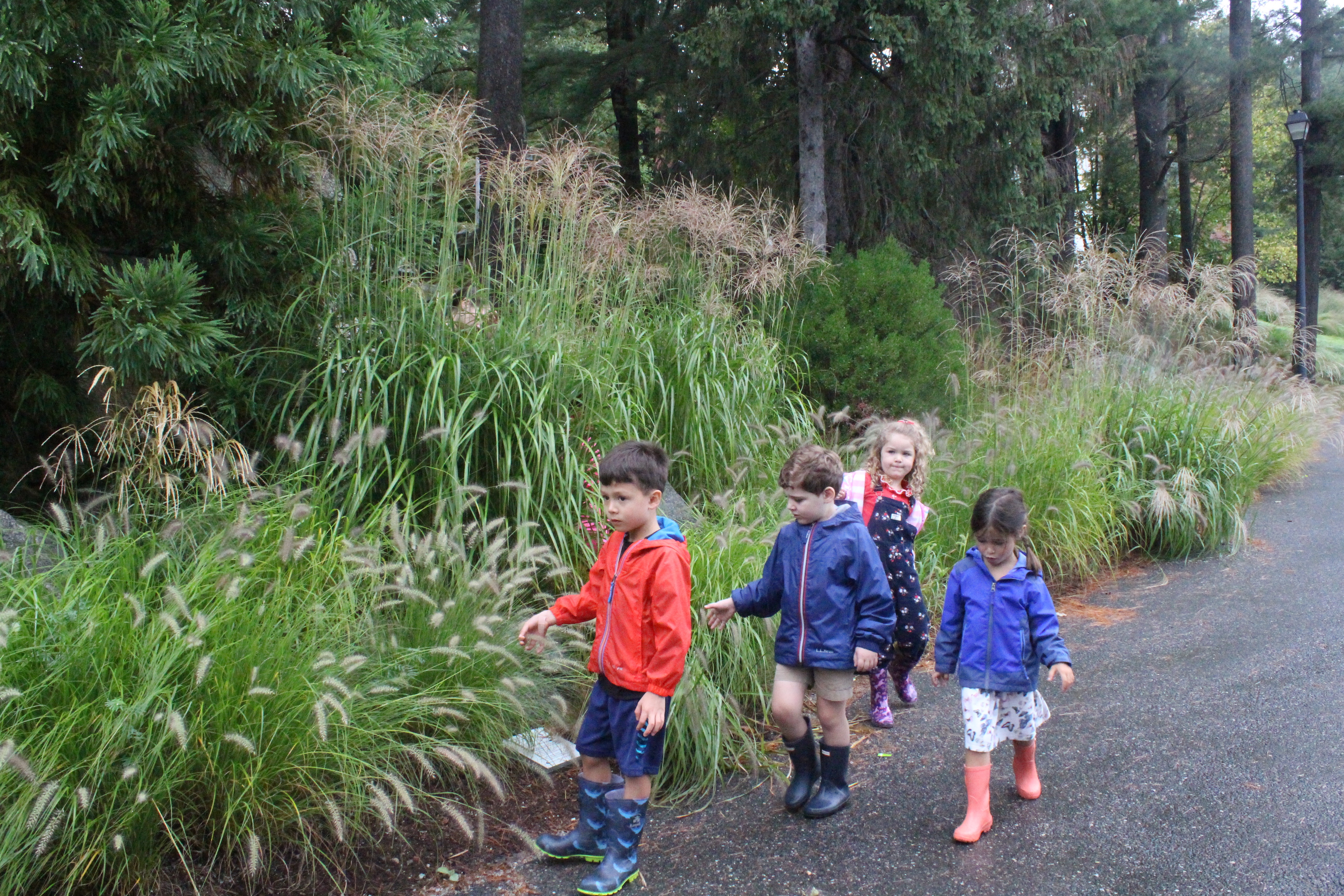 Small groups explore the park