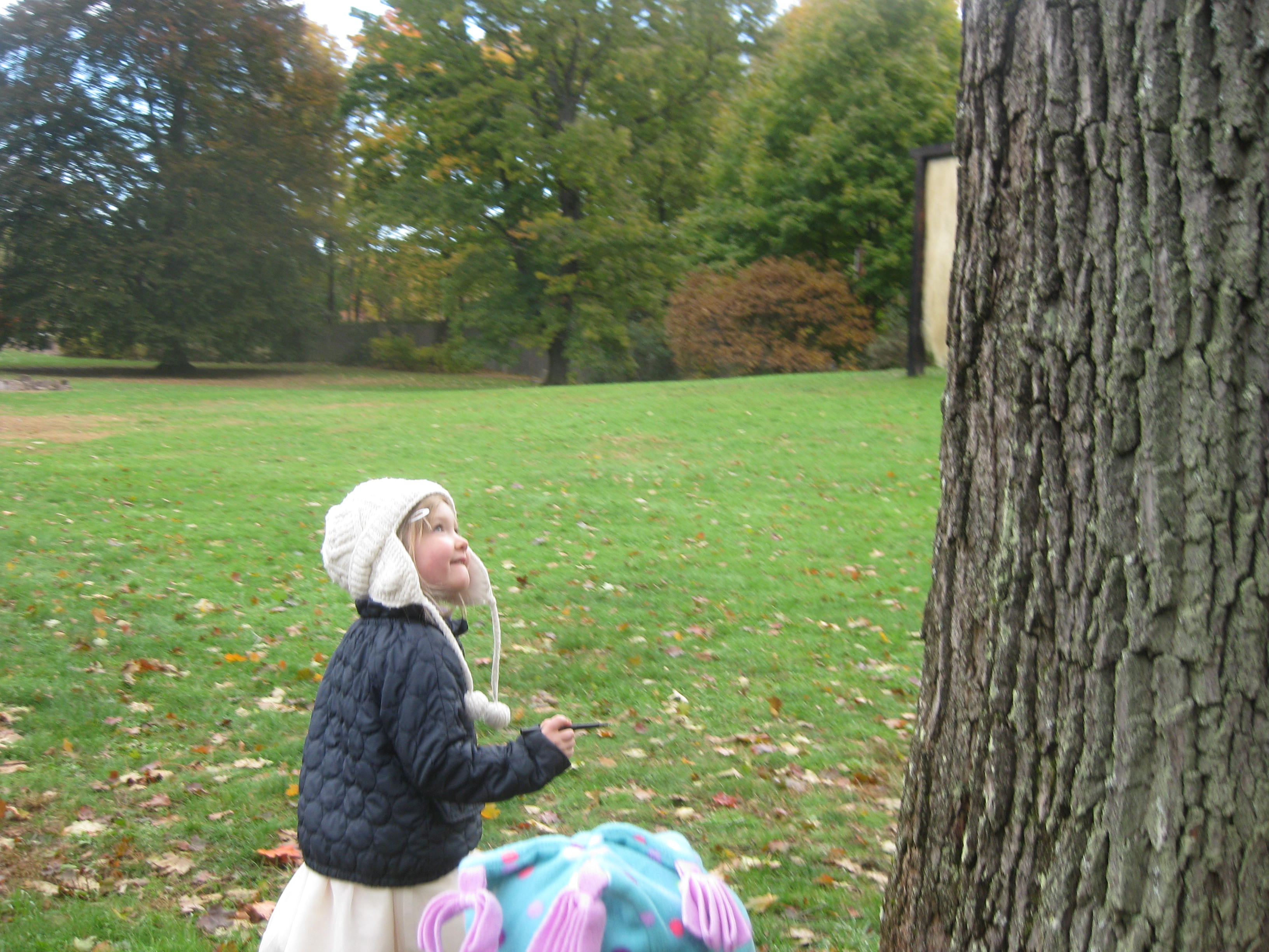 “These trees don’t all look the same.”