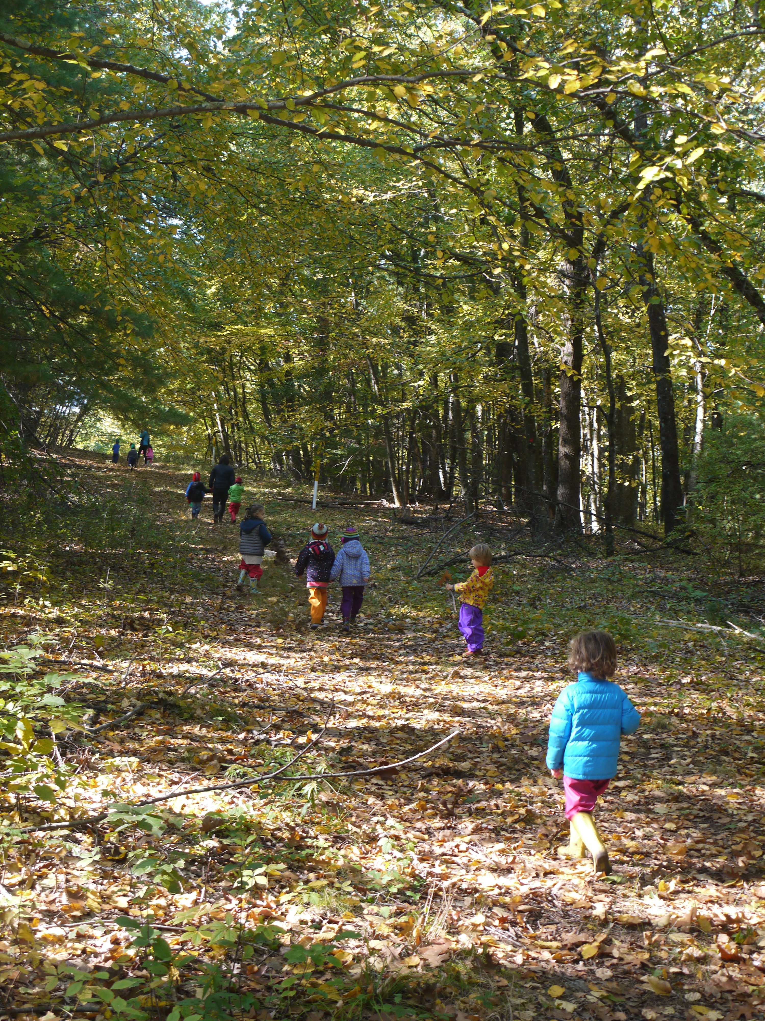 “Is today a nature walk day?”