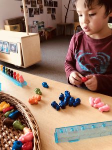 Milo sorts by color and then counts.