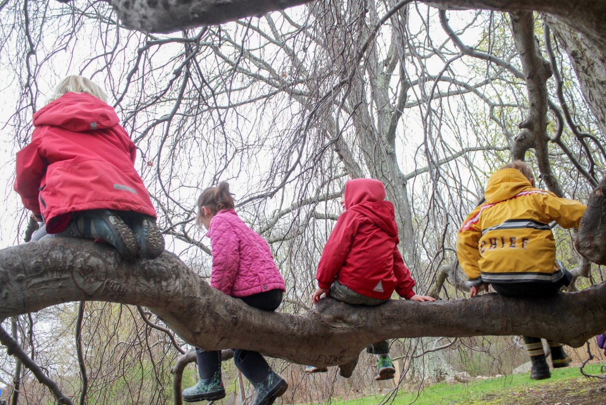 Children as Scientists in the Natural World