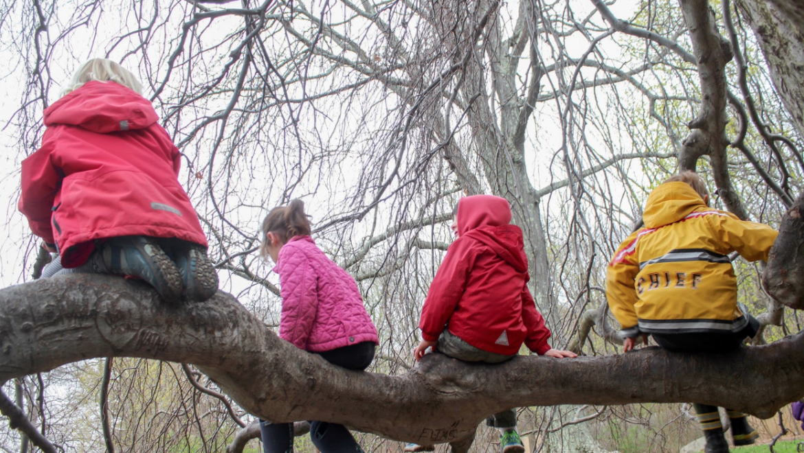 Children as Scientists in the Natural World